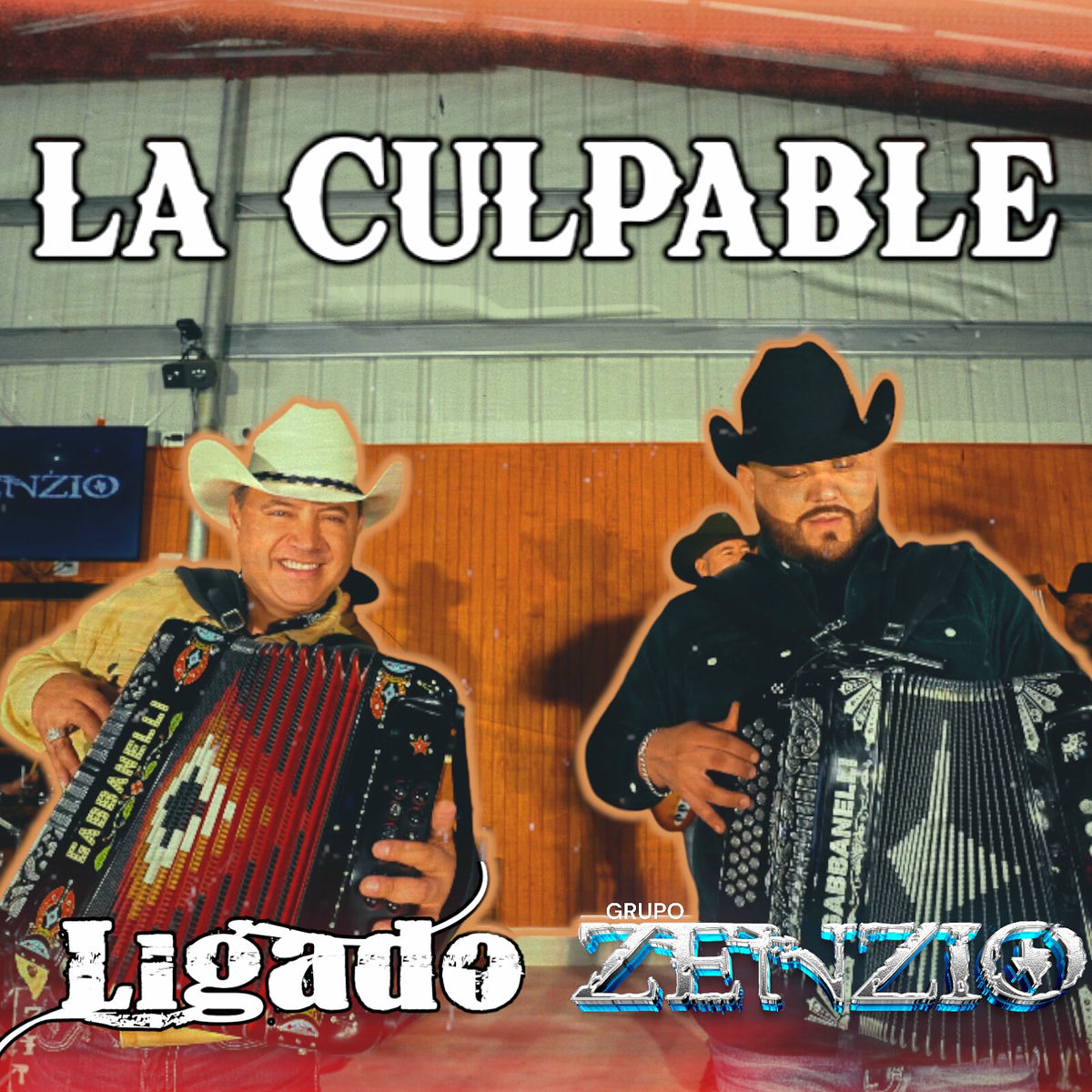 Album cover of La Culpable