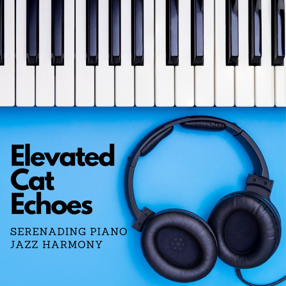Picture of Elevated Cat Echoes: Serenading Piano Jazz Harmony