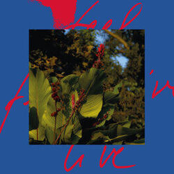 Cover of Feel Live