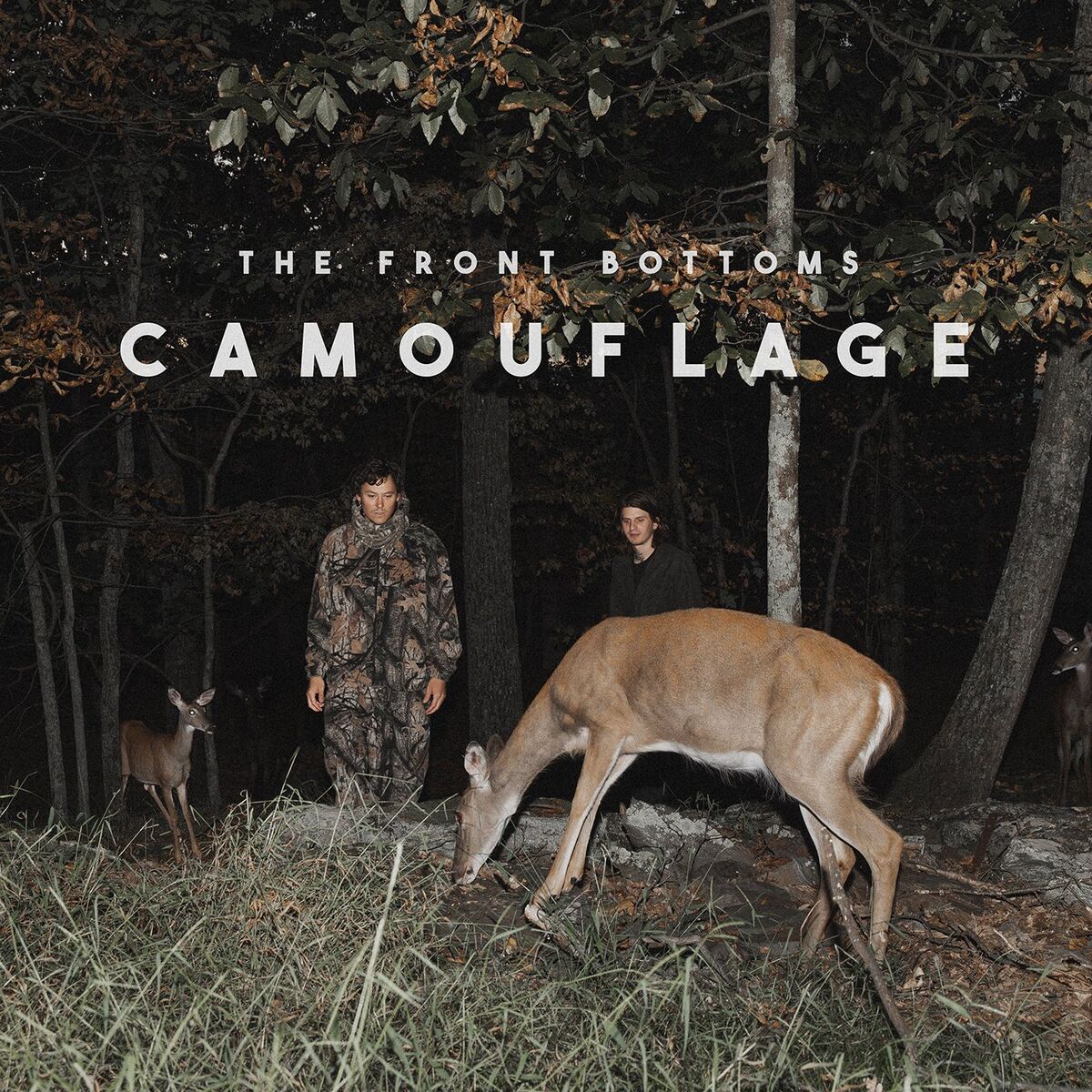 Album cover of Camouflage
