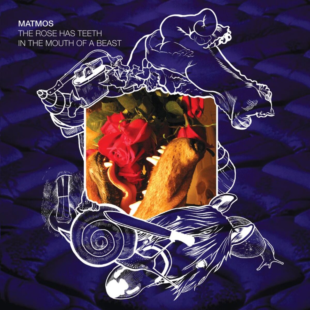 Album cover of The Rose Has Teeth In The Mouth Of A Beast