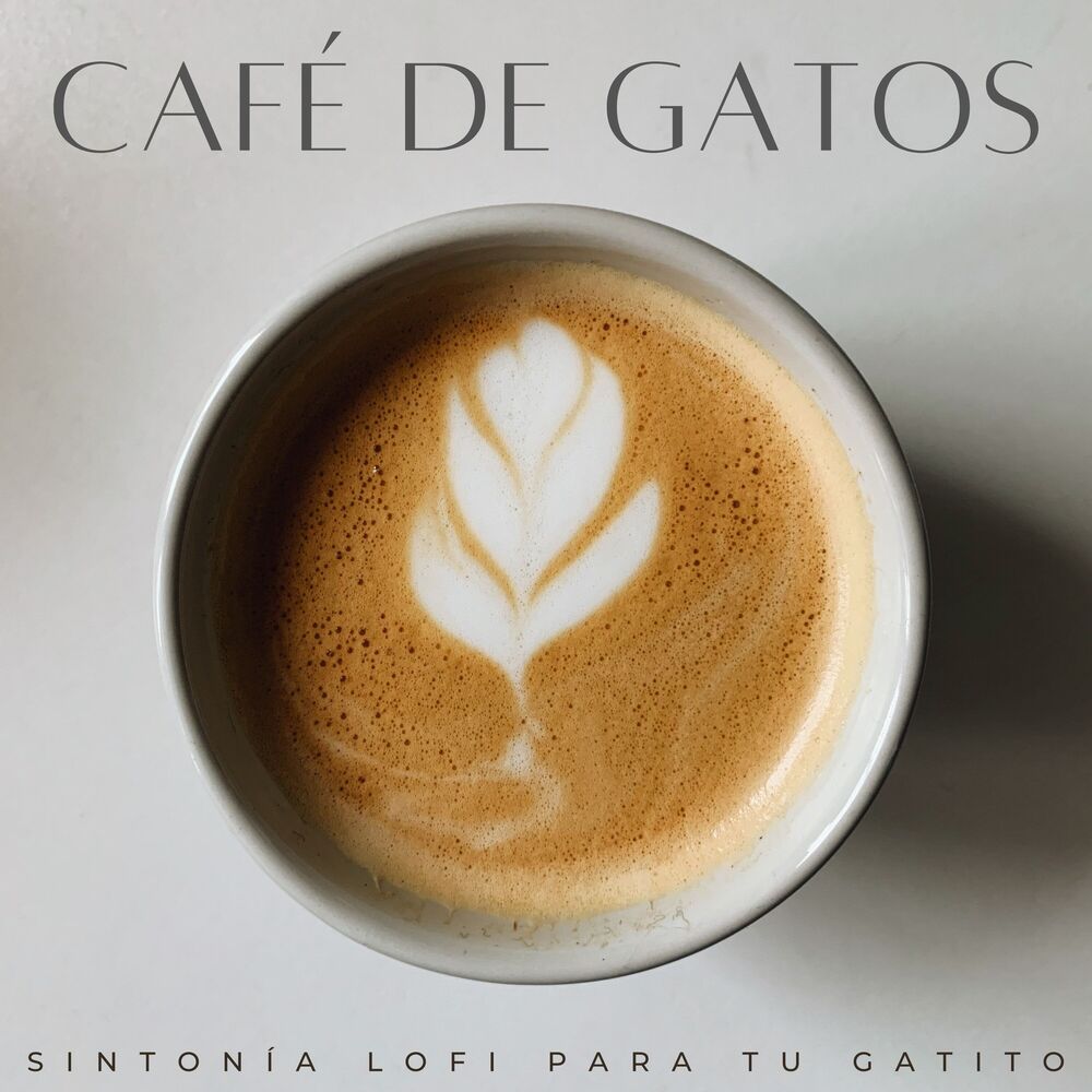 Picture of Café De Gatos: Sintonía Lofi Para Tu Gatito