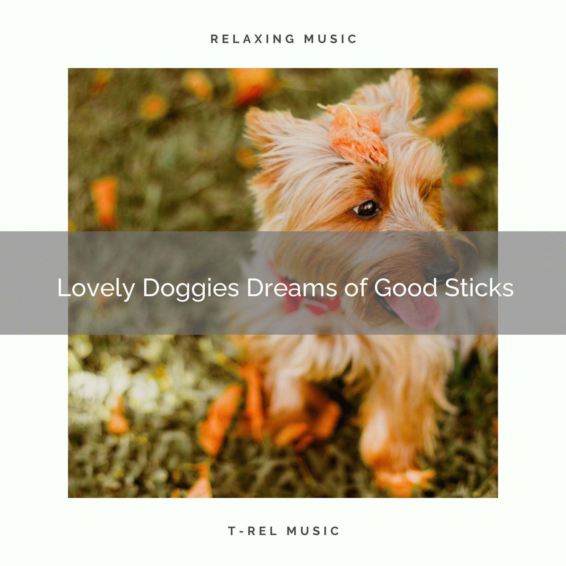 Album cover of 4 Lovely Doggies Dreams of Good Sticks