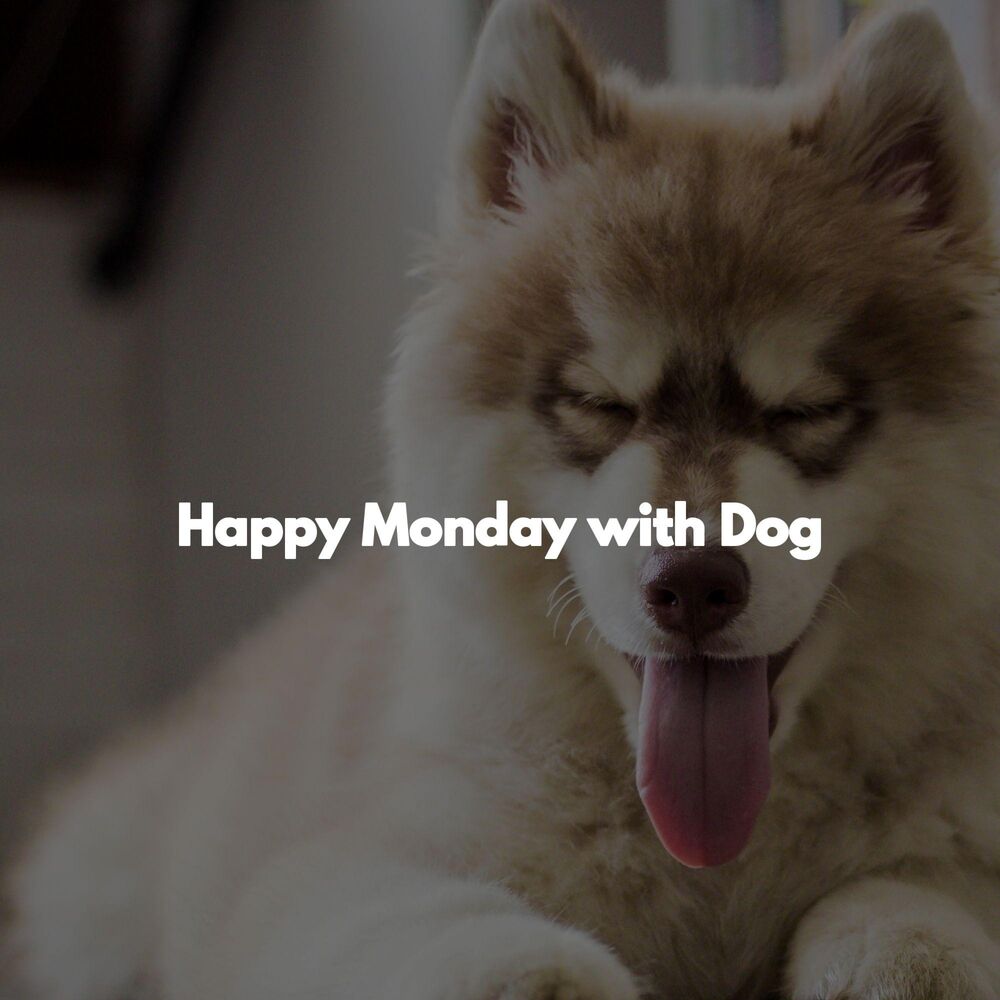 Picture of Happy Monday with Dog