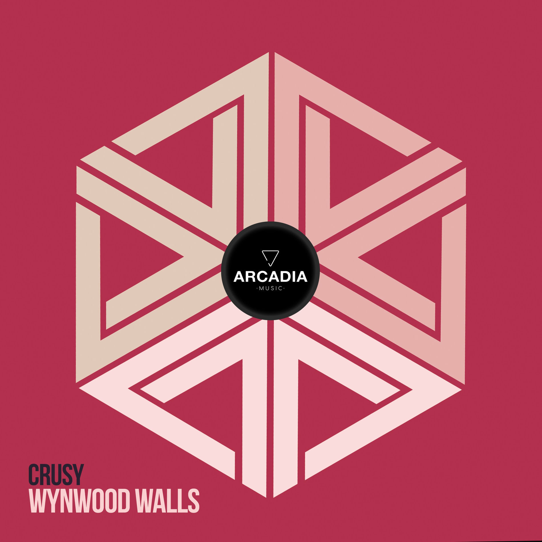 Album cover of Wynwood Walls