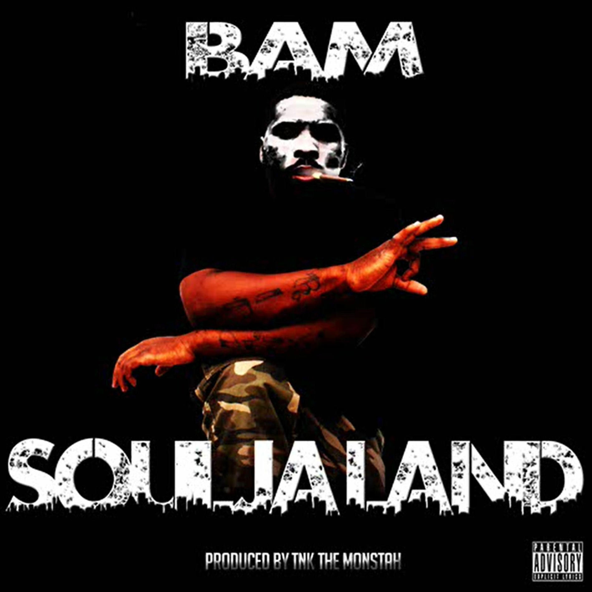 Album cover of Soulja Land