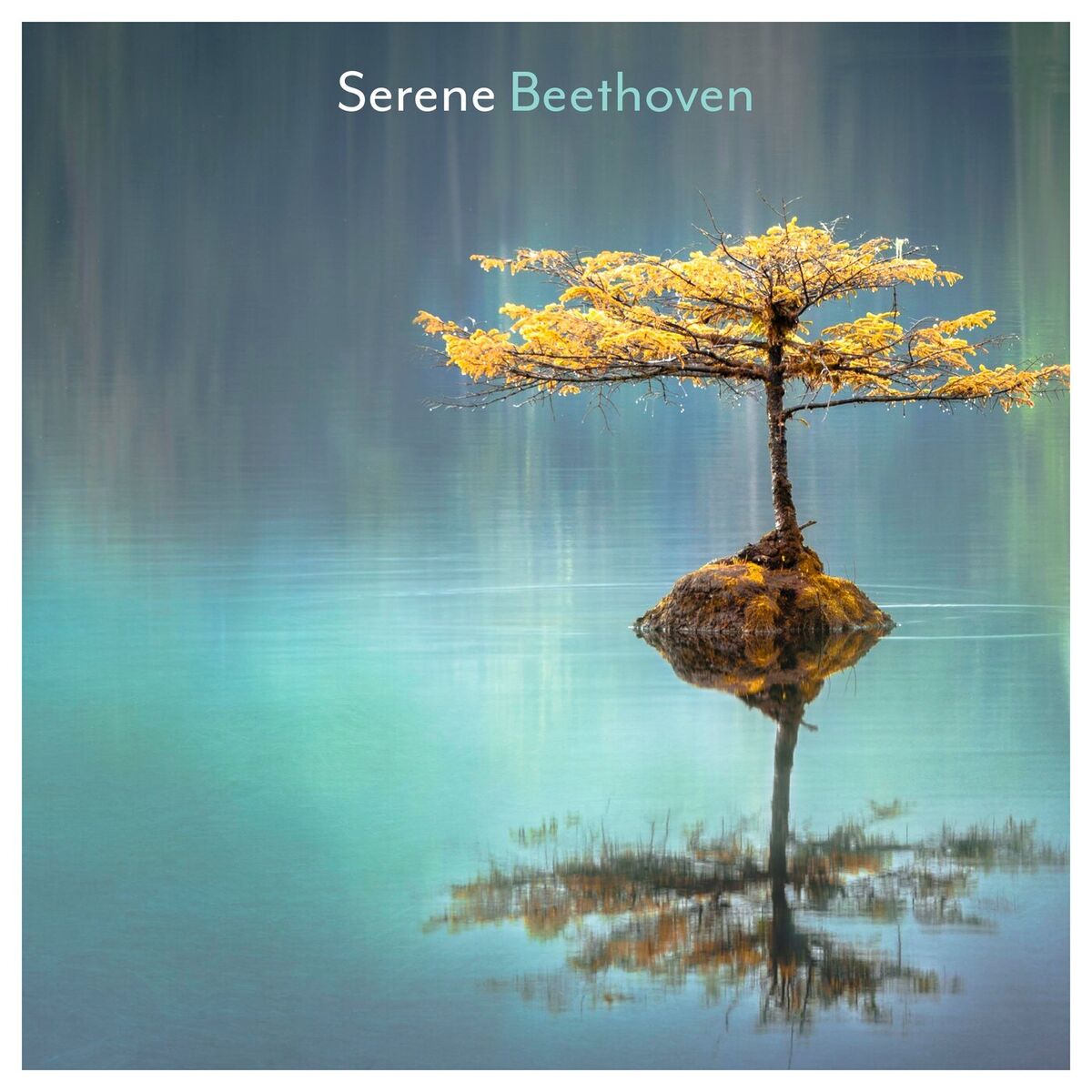 Album cover of Serene Beethoven