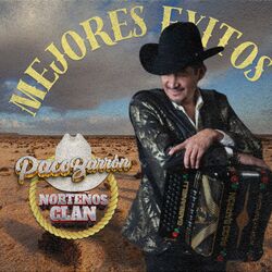 Cover of Mejores Exitos