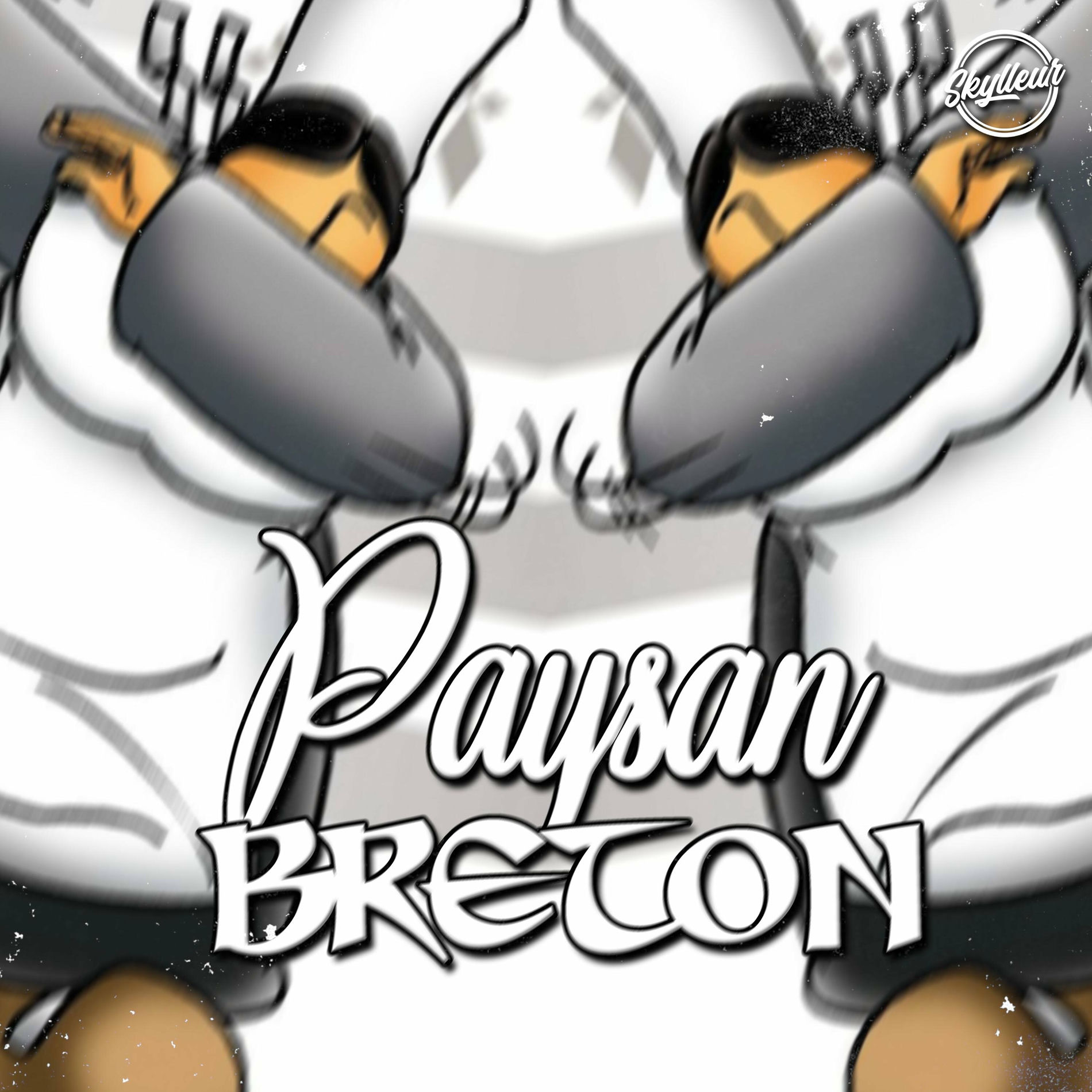 Album cover of Paysan Breton (Sped Up Version)