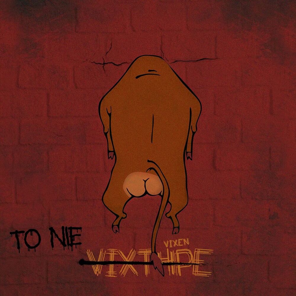Picture of To nie vixt4pe