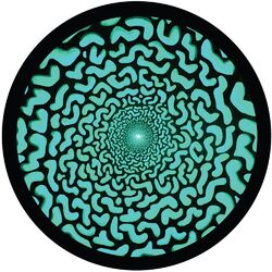 Cover of Perplexer EP