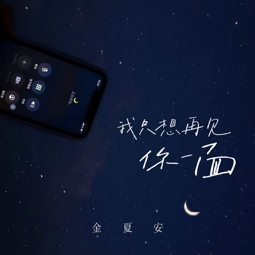 我只想再见你一面