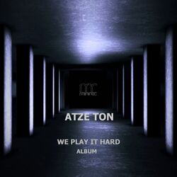 Cover of WE PLAY IT HARD