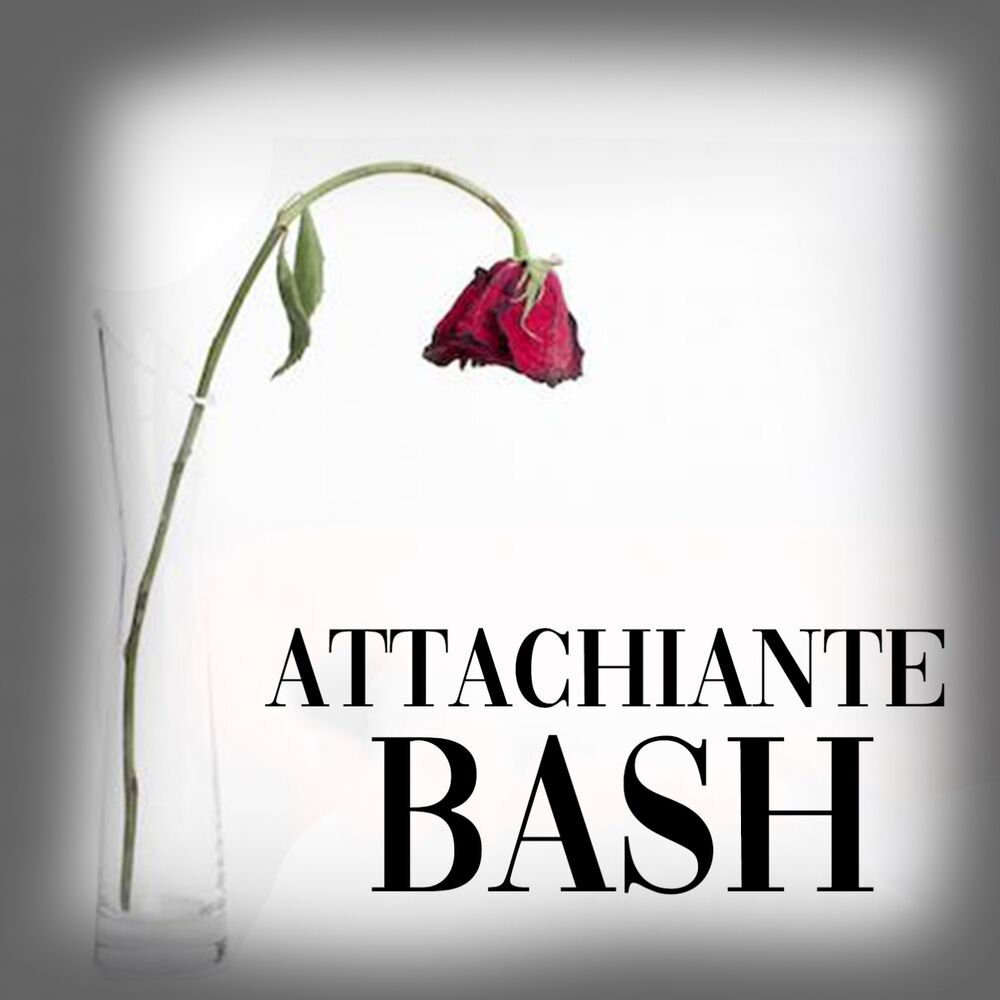 Picture of Attachiante