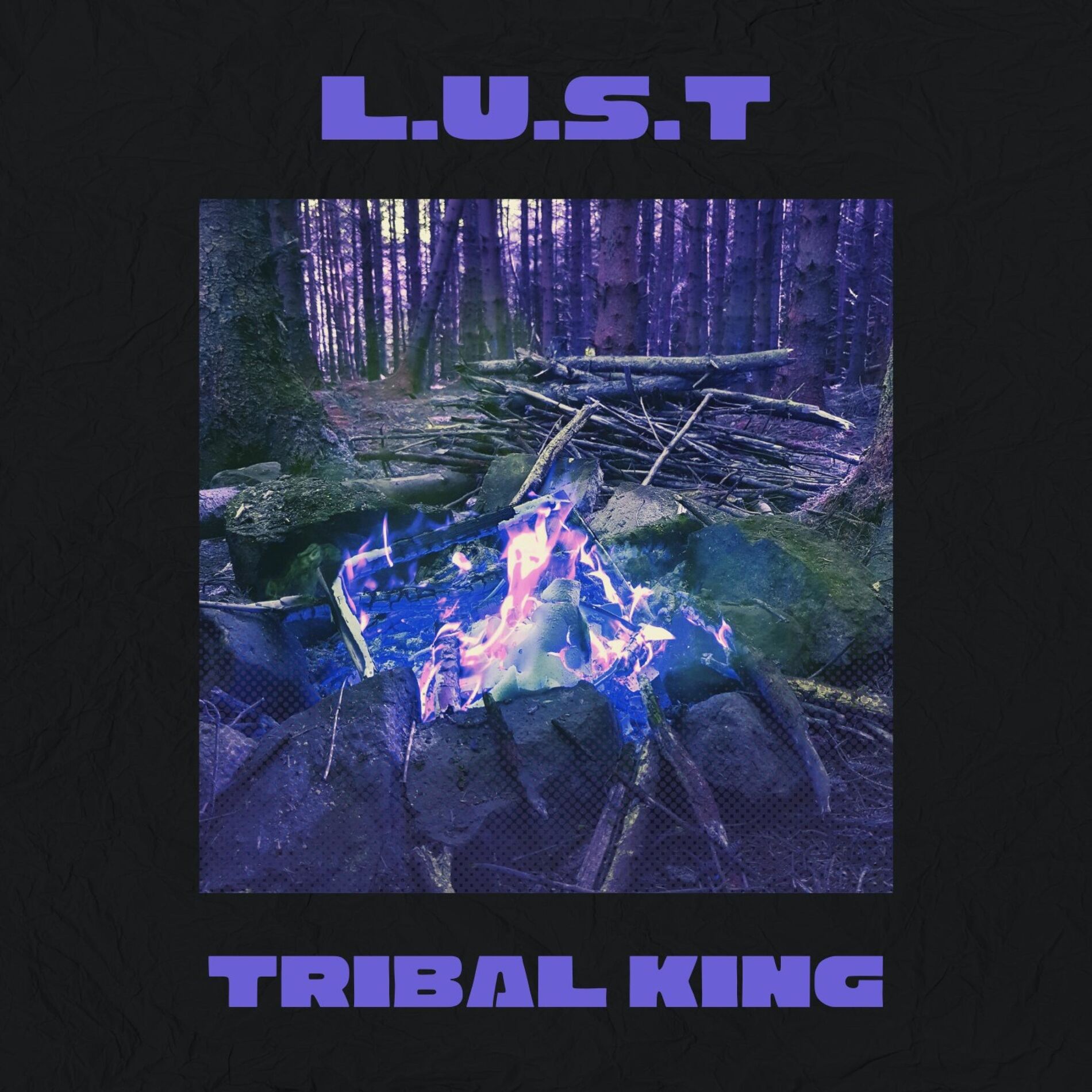Album cover of L.U.S.T