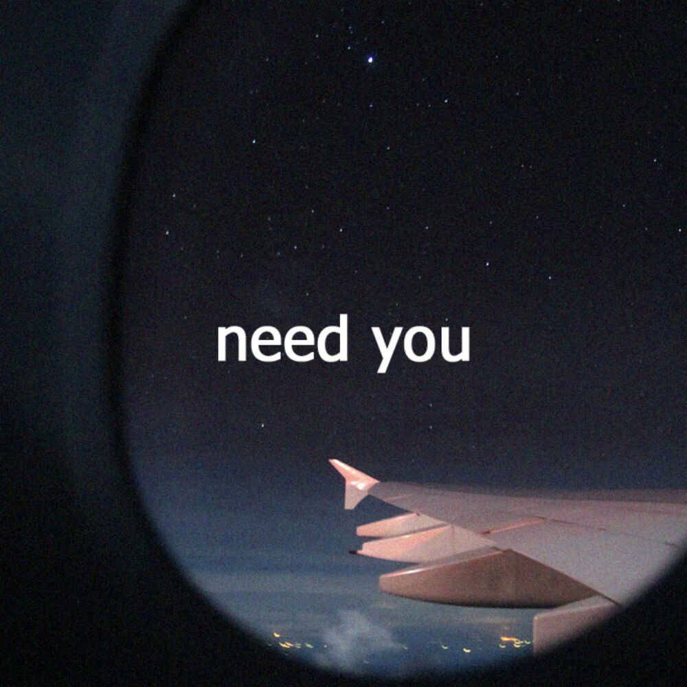 Picture of Need You