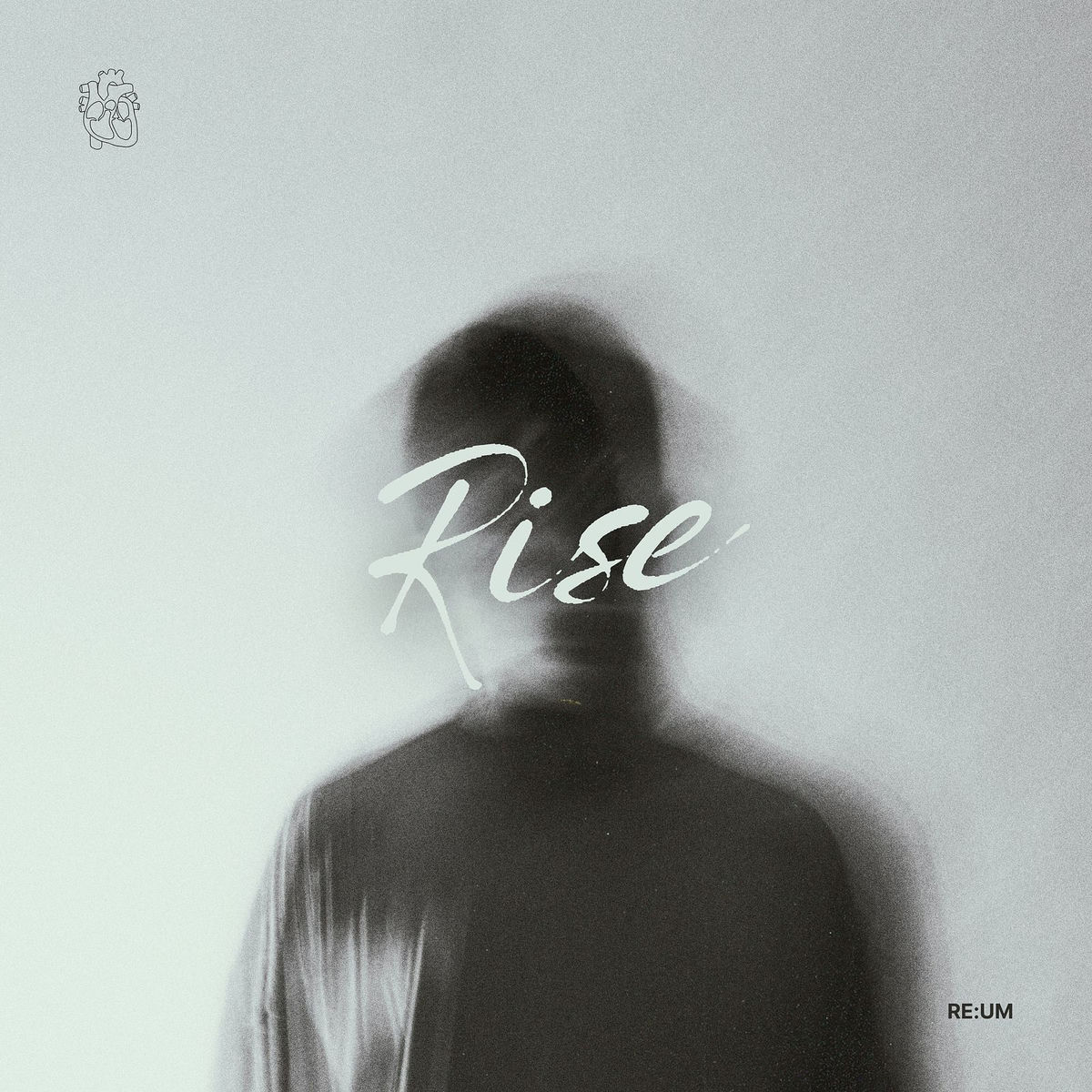 Album cover of Rise