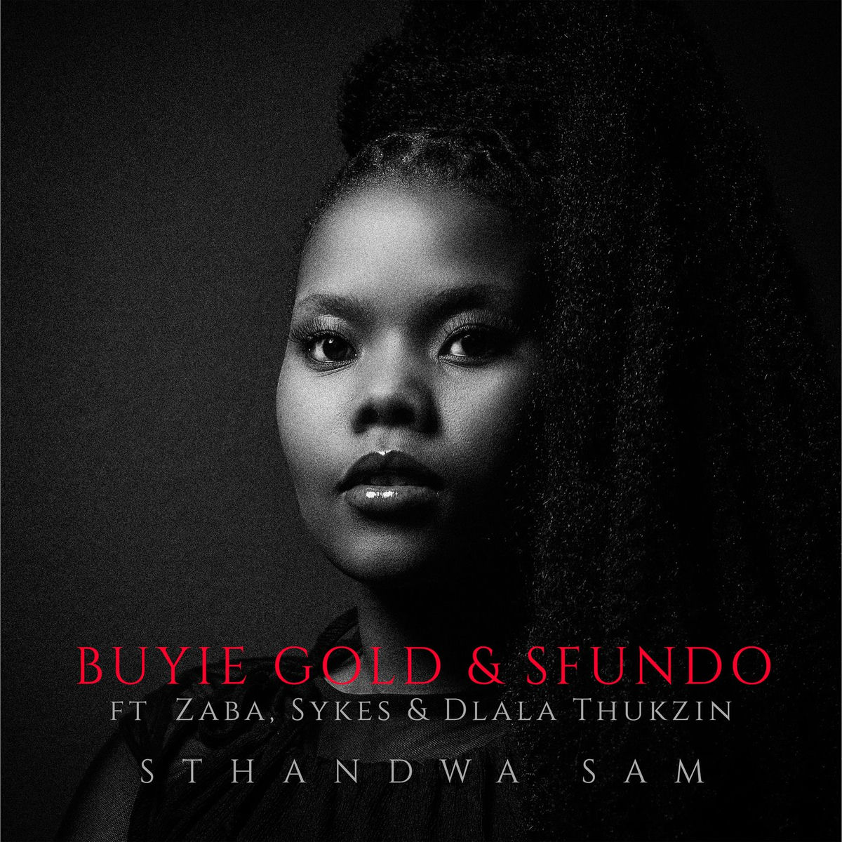 Album cover of Sthandwa Sam