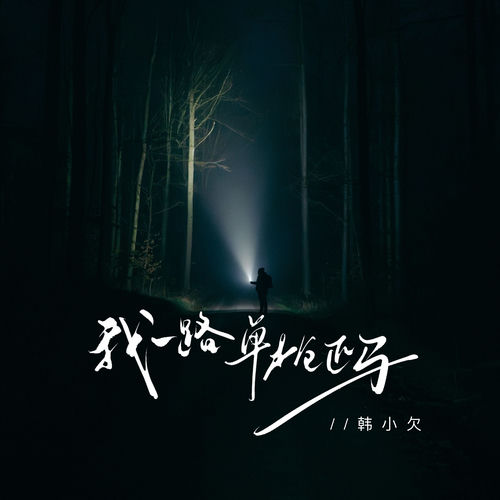 我一路单枪匹马 (磕磕绊绊的走到今天)