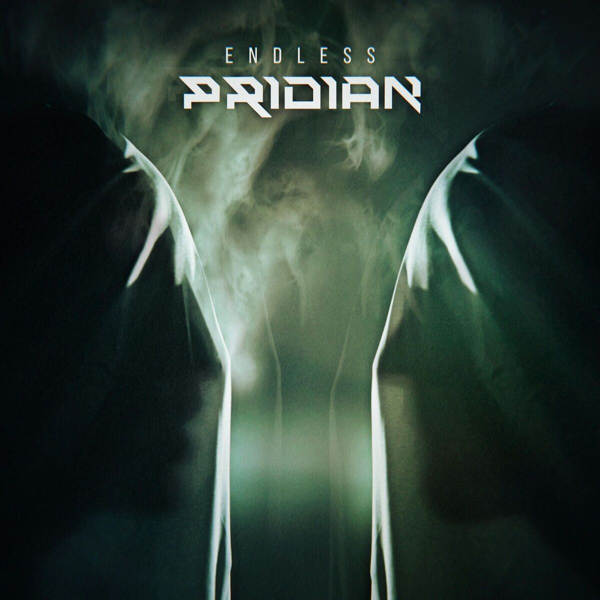 Album cover of Endless