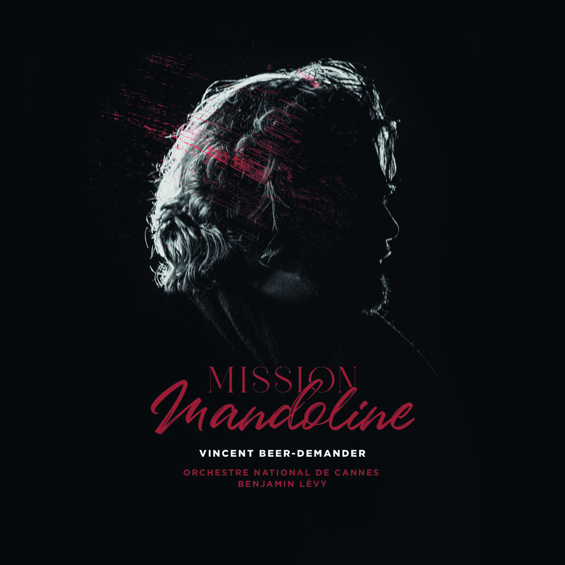 Album cover of Mission mandoline