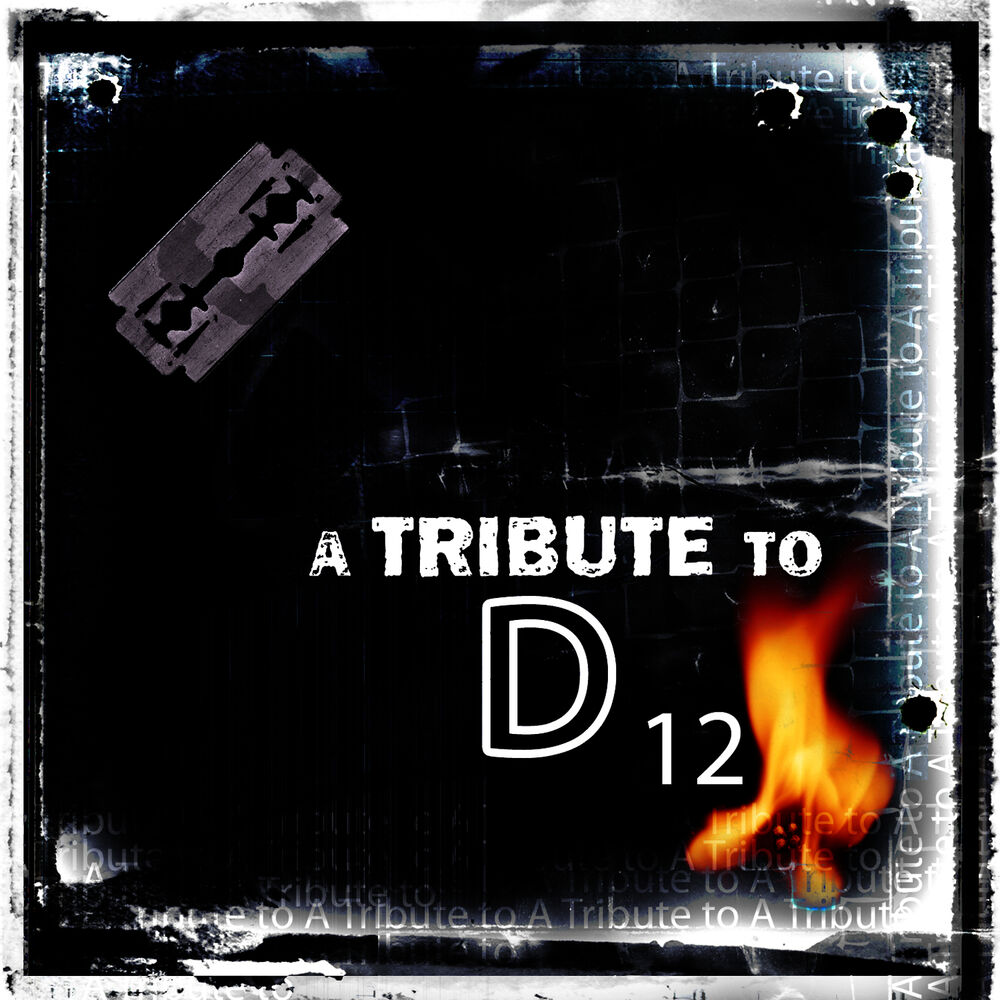 Picture of A Tribute To D12
