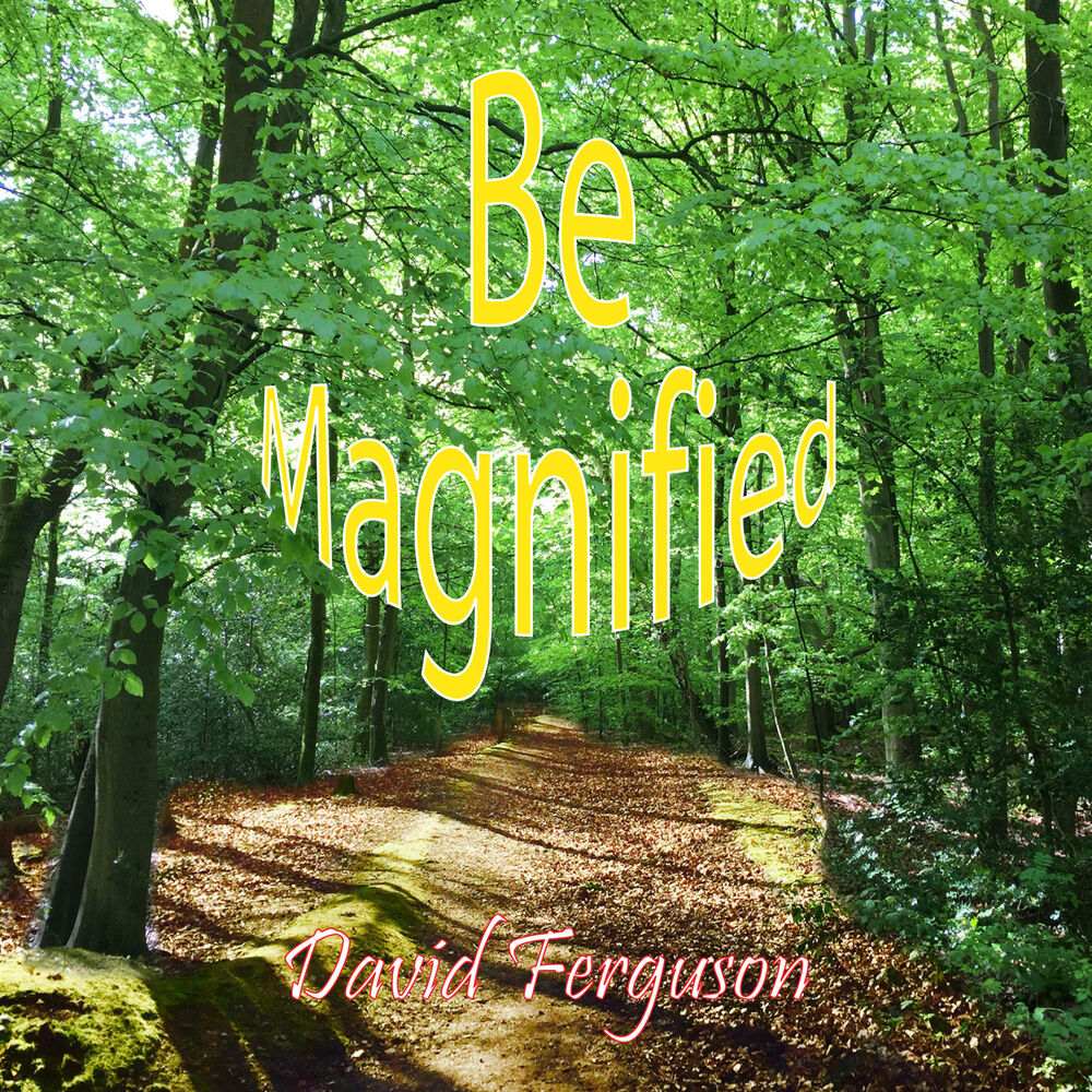 Picture of Be Magnified