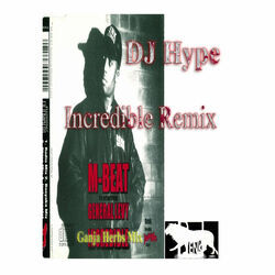 Cover of Incredible Remix