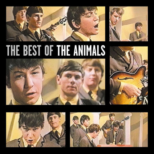 Animals by The Animals - 190 BPM & Key 