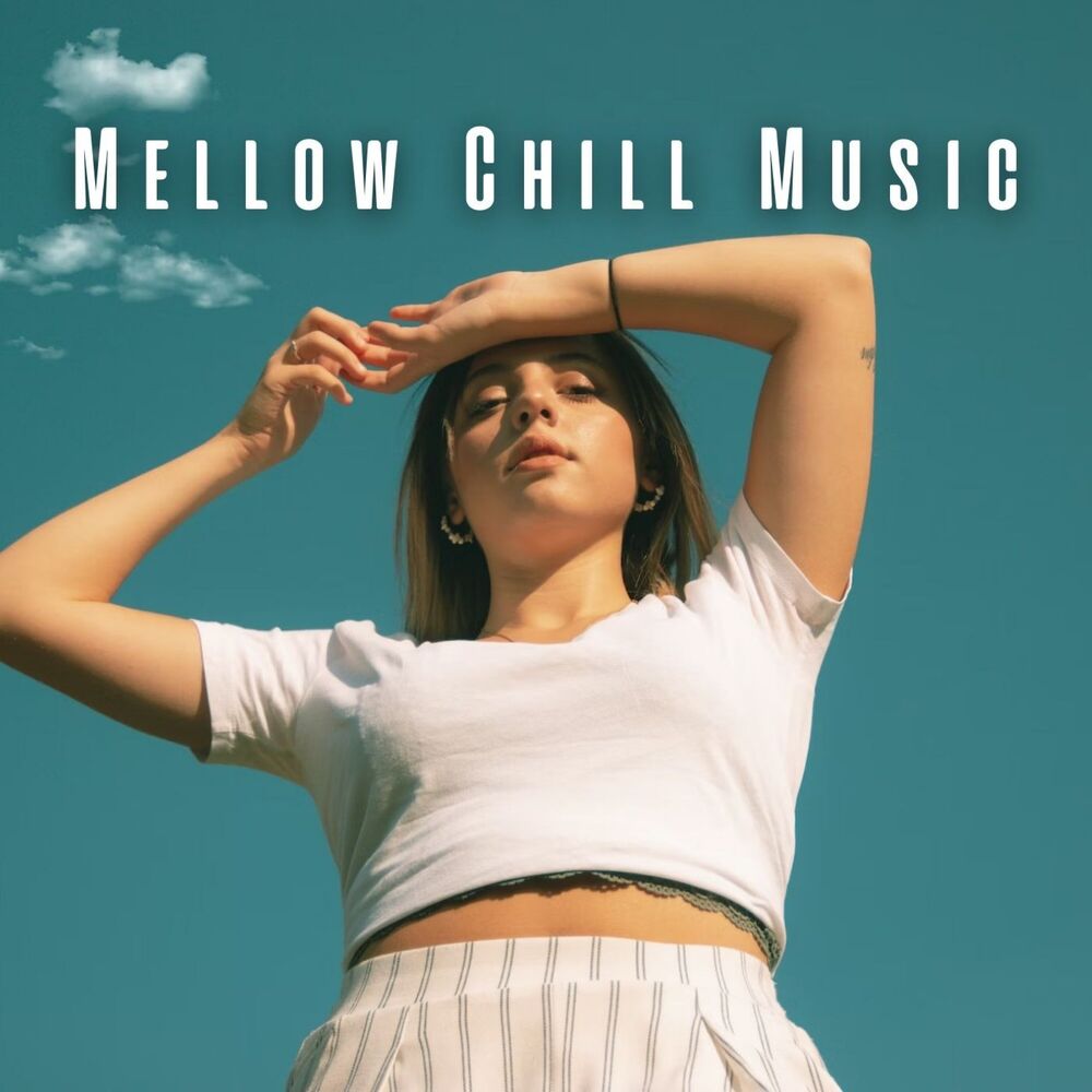 Picture of Mellow Chill Music