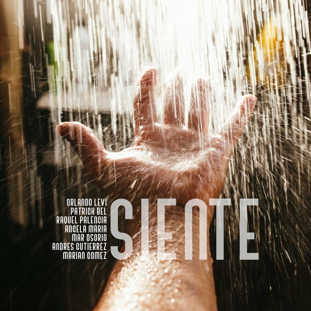 Album cover of Siente