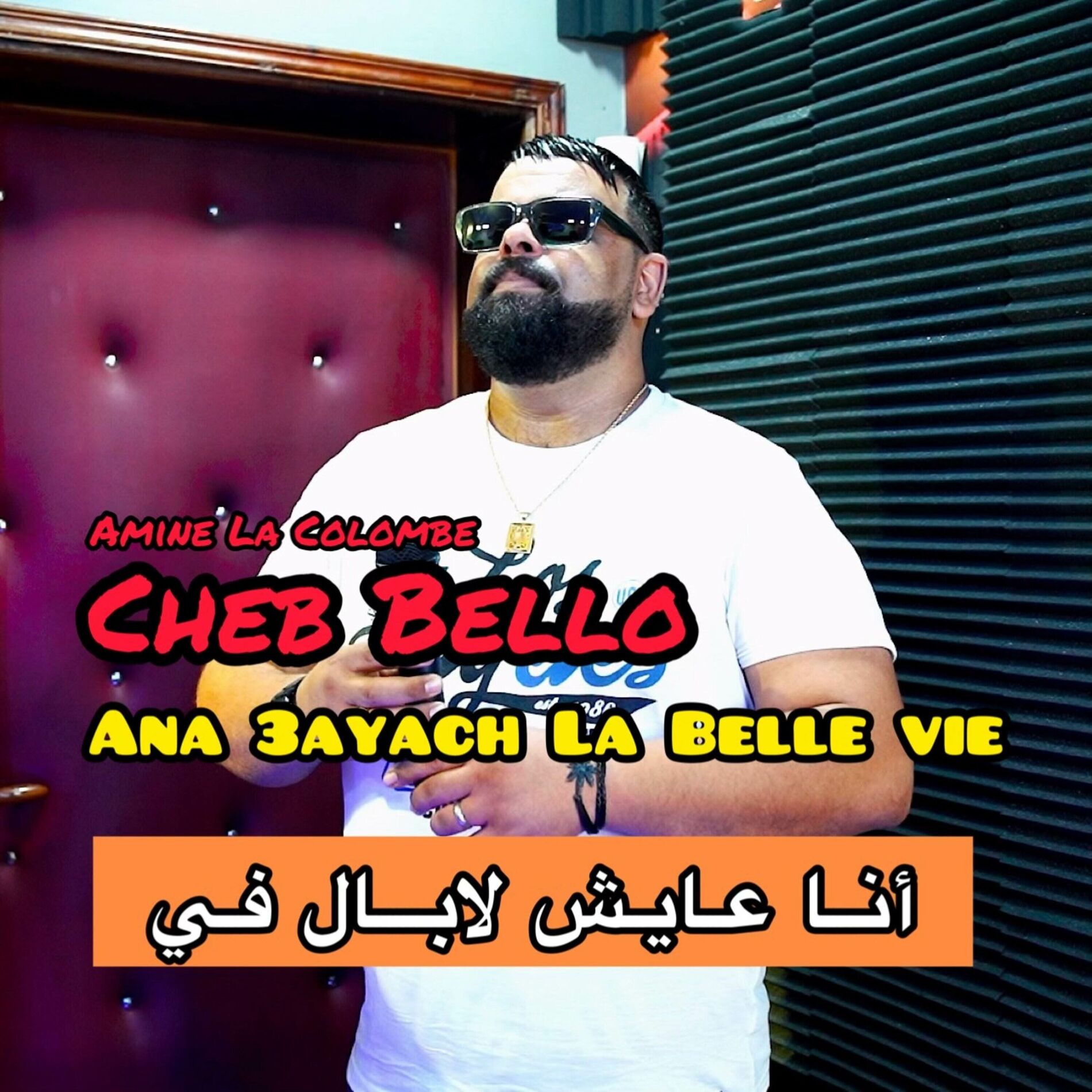 Album picture of Ana 3ayach La Belle Vie