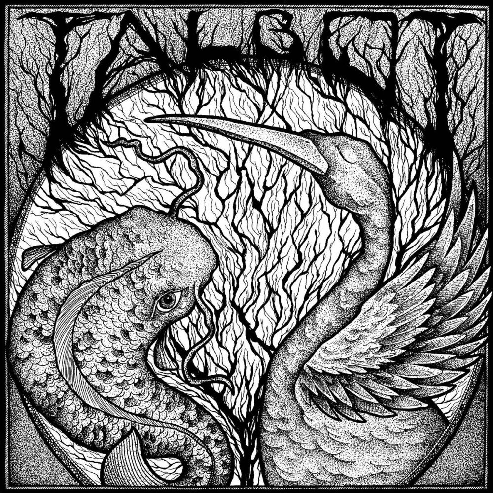 Picture of Scaled