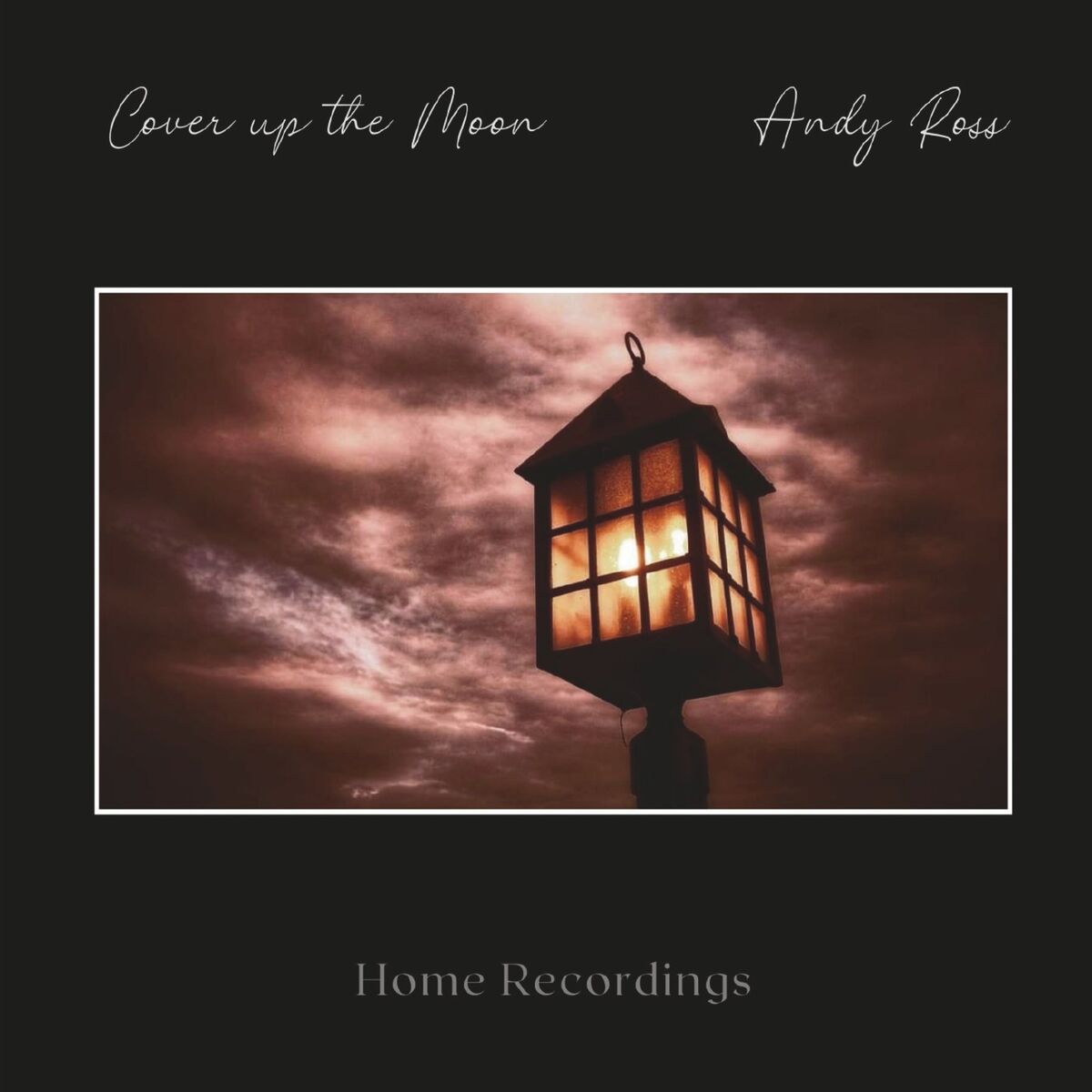 Album cover of Cover up the Moon