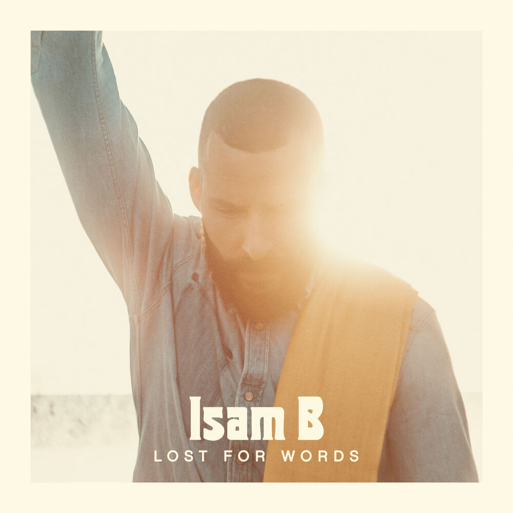 Picture of Lost For Words