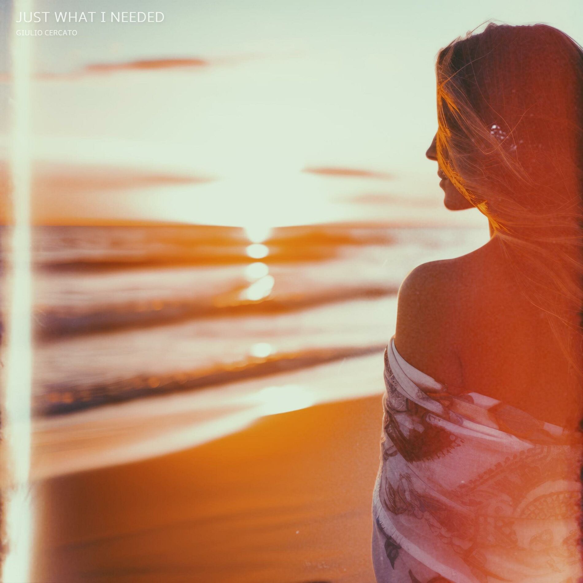 Album cover of Just What I Needed