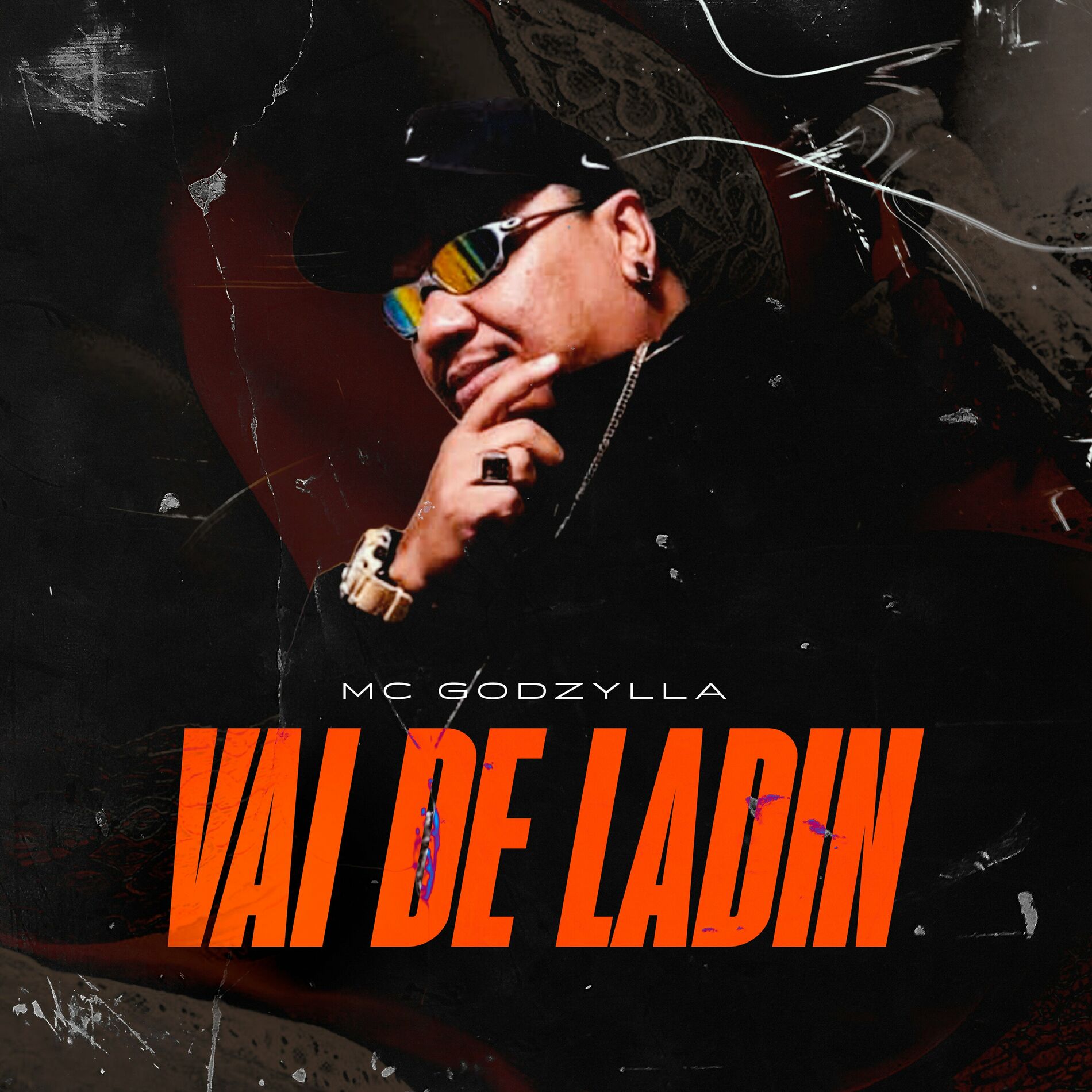 Album cover of Vai de Ladin