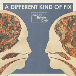 Cover of A Different Kind Of Fix