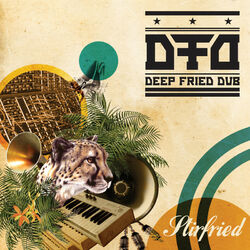 Cover of Stir Fried