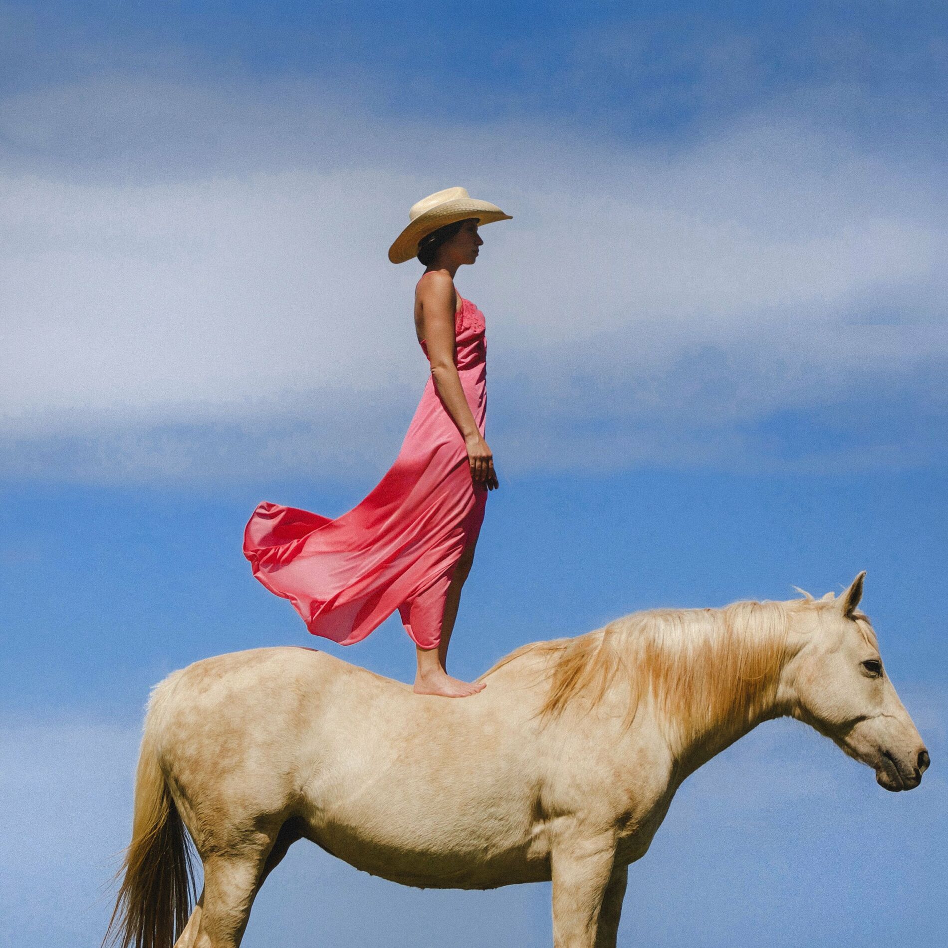 Album cover of Cowboy