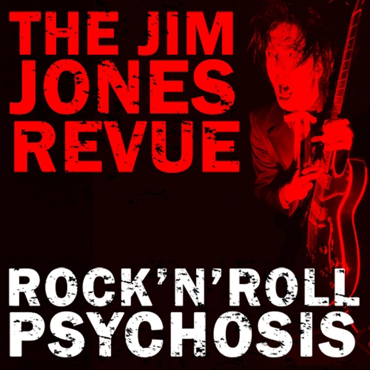 Album cover of Rock'n'Roll Psychosis
