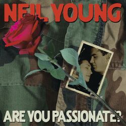 Cover of Are You Passionate?