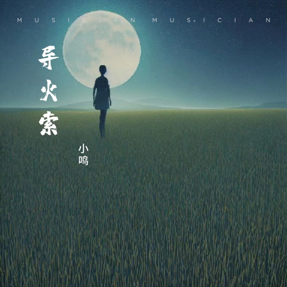 Picture of 导火索