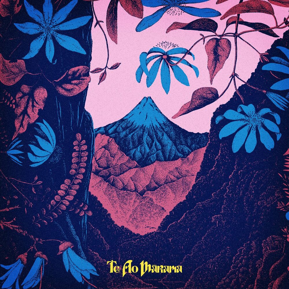 Picture of Te Ao Mārama