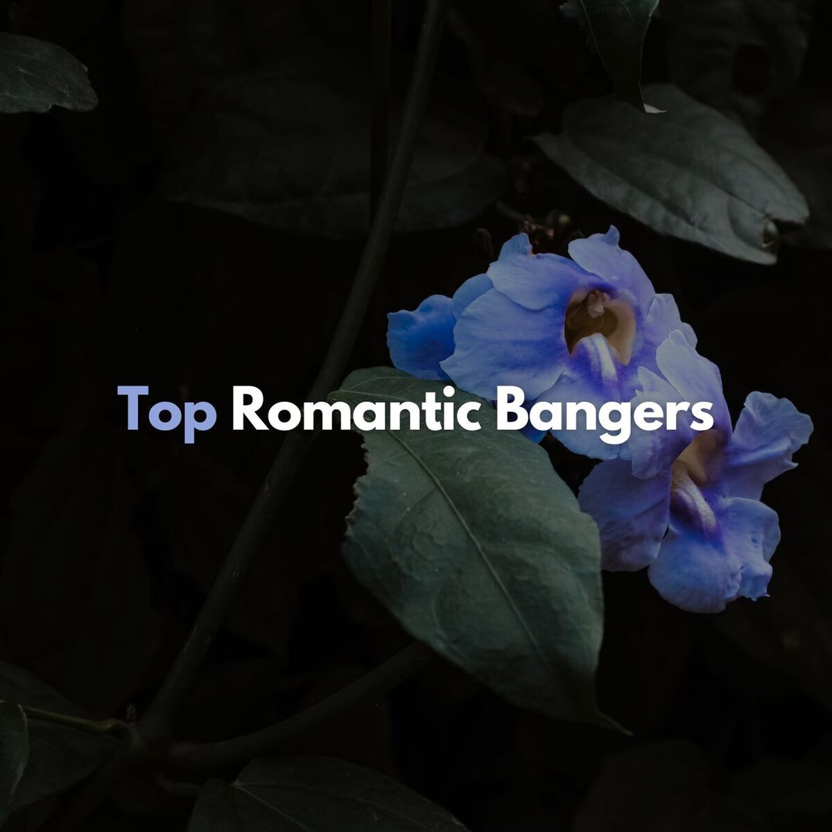 Album cover of Top Romantic Bangers
