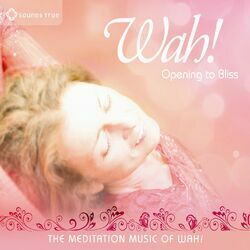 Cover of Opening To Bliss