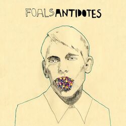 Cover of Antidotes