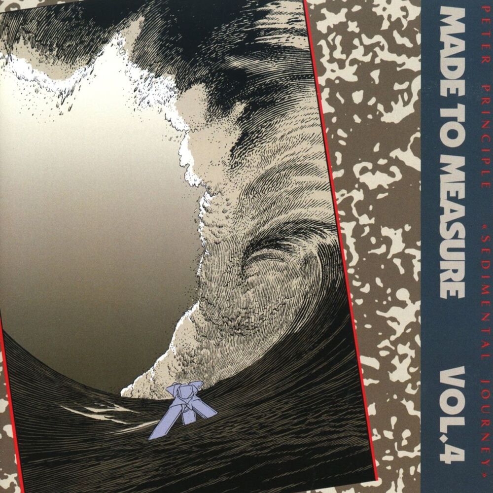 Picture of Sedimental Journey