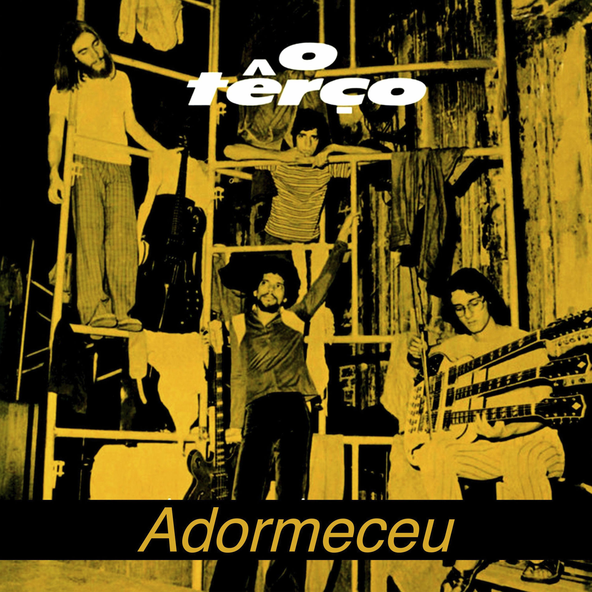 Album cover of Adormeceu