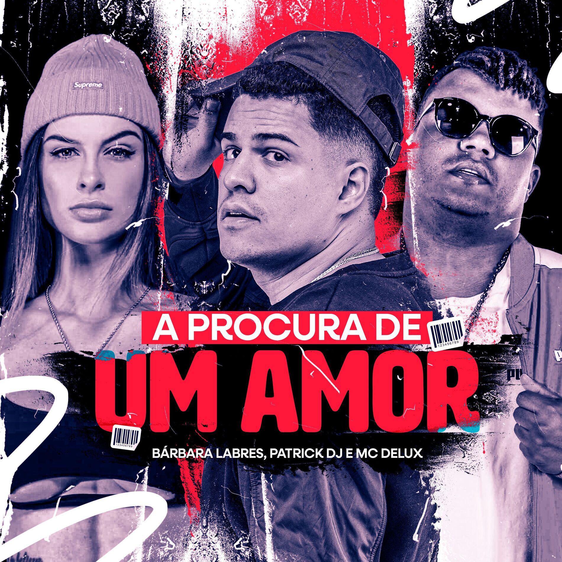 Album cover of A Procura de Um Amor